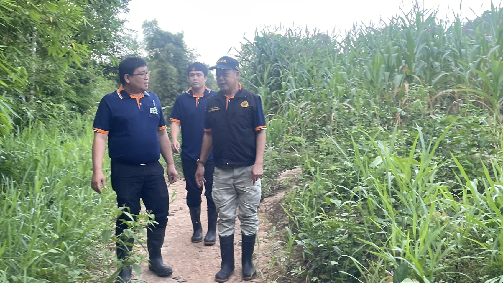 title - ผู้ตรวจราชการ ส.ป.ก. (เขต 15,16 และ 17) ประชุมตรวจติดตามความก้าวหน้าการดำเนินงานตามแผนงานตรวจราชการและลงพื้นที่โครงการที่เกี่ยวข้องในเขตปฏิรูปที่ดิน ประจําปีงบประมาณ 2568 รอบที่ 2 ณ ส.ป.ก.จังหวัดลำปาง